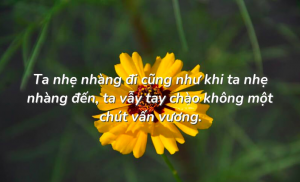 Cách sống chất lượng cao của người thông minh trong xã hội hiện đại