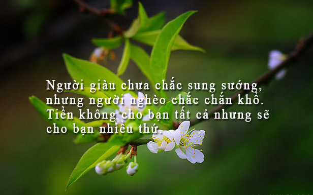gia tri