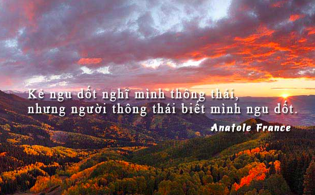 "Kênh đầu tư" cứ tham gia là nắm chắc THUA LỖ