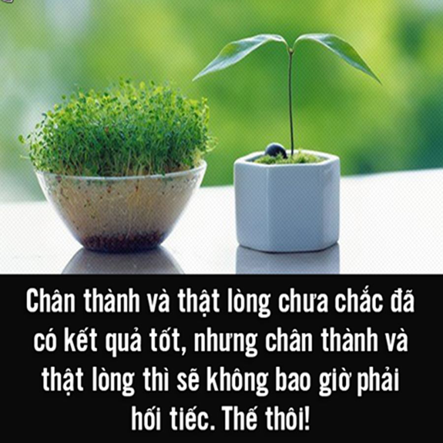 Thời gian không bao giờ dừng lại, ai rồi cũng sẽ già đi
