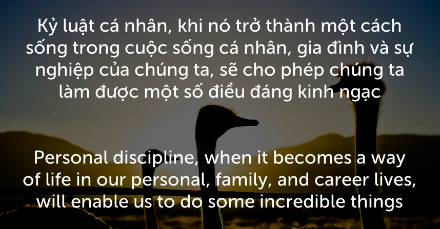 Bạn không đủ ưu tú là vì bạn chưa đủ kỉ luật