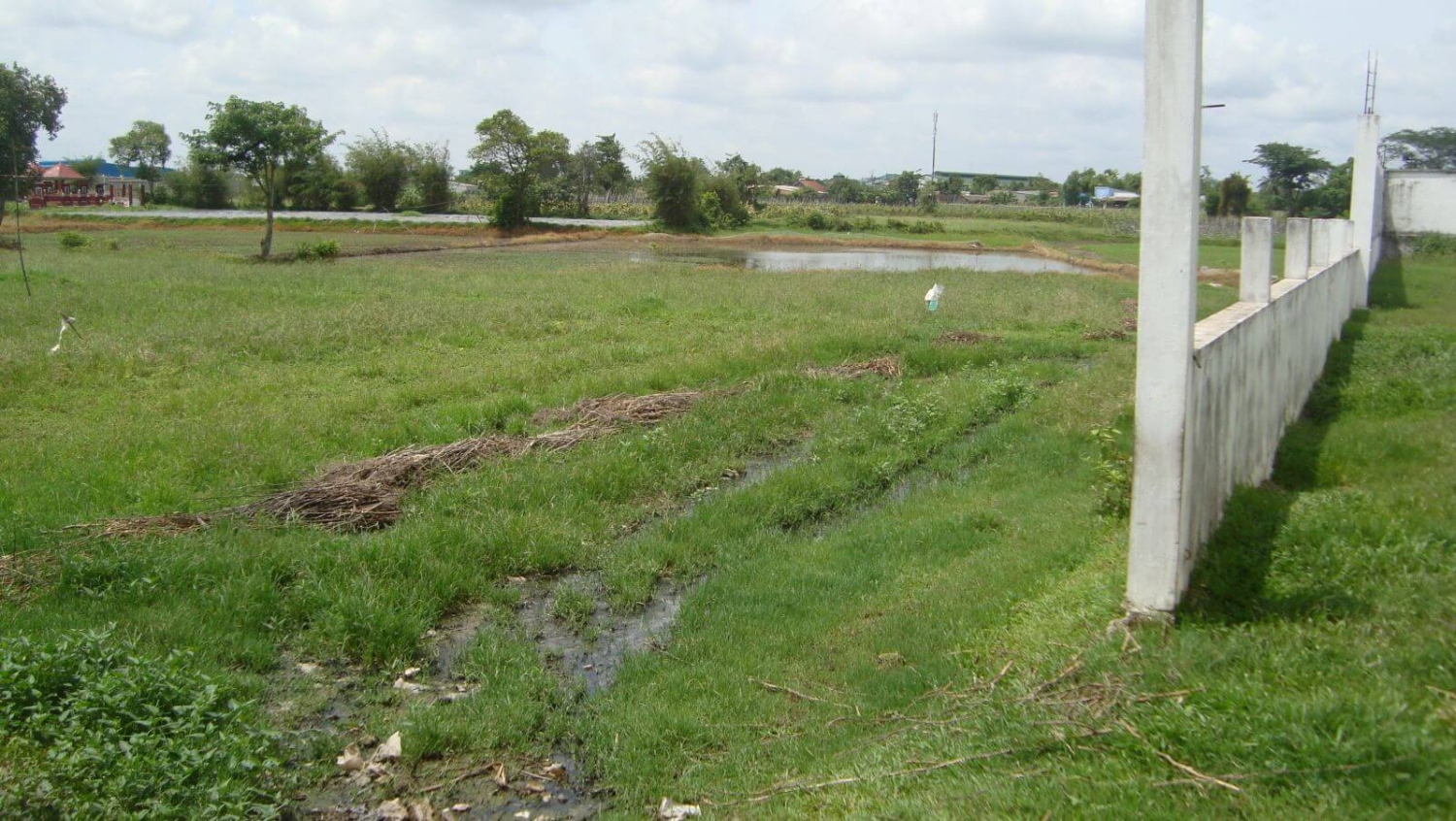 Ranh giới giữa các thửa đất